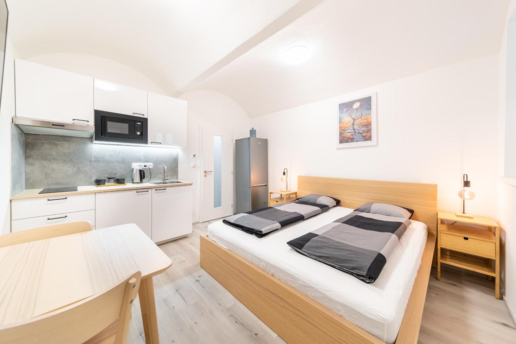 Apartmán Borivojova 63 Praha